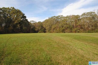 177.20 Acres County Road 37 Unit 177.20 acres, Valley Grande, AL 36701