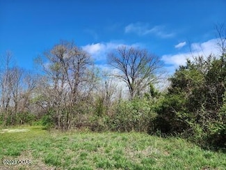 Tract 4 Highway D, Webb City, MO 64870
