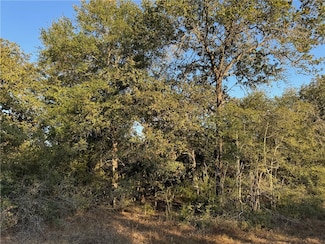 3309 Deer Ledge Dr, Caldwell, TX 77836
