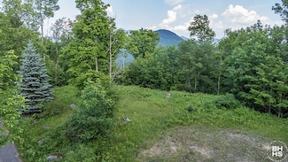 0 Panorama Drive Lot 14 Unit 202123, Saranac Lake, NY 12983