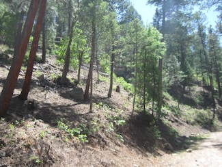211 Camelot Dr, Ruidoso, NM 88345