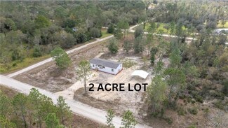 12290 NE 19 St, Williston, FL 32696