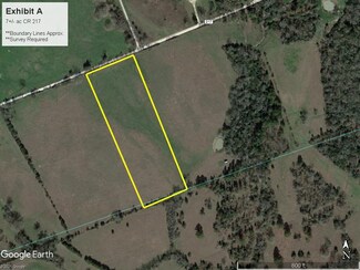 TBD County Road 217, Richards, TX 77873