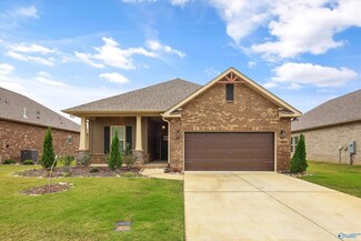 9041 Mountain Preserve Blvd, Gurley, AL 35748