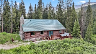 274 County Road 672, Breckenridge, CO 80424