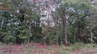 000 Red Bud Ridge Rd S, Sugar Tree, TN 38380