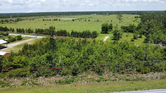 Lot 6 Borders Rd, Wewahitchka, FL 32465