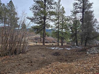 368 Squirrel Dr, Pagosa Springs, CO 81147
