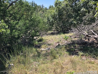 LOT 8 Longview Dr, Fredericksburg, TX 78624