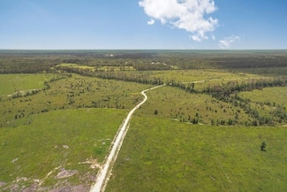 38774 McCarrol Rd, Independence, LA 70443