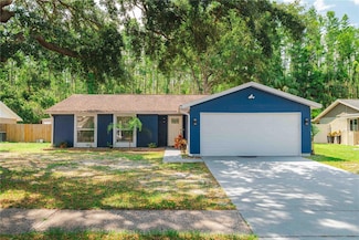 5346 Black Pine Dr, Tampa, FL 33624