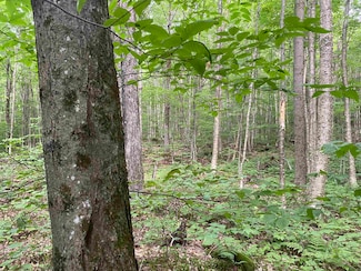 0 Maple St, Jay, VT 05859