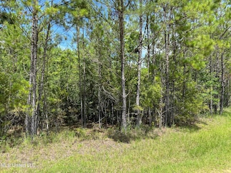 Lot 38 Sampras Blvd, Vancleave, MS 39565