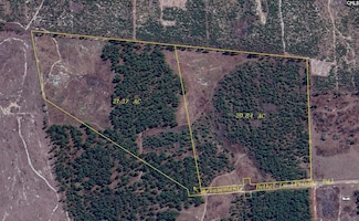 0 Bethel Ln, Leesville, SC 29070