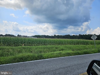 0 Pepperbox Rd Unit DESU2097370, Delmar (Sussex), DE 19940