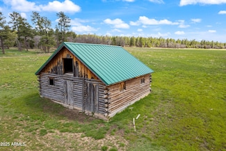 931 W Woodland Lake Rd Unit 13, Lakeside, AZ 85929