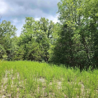 L-83, B-4 Hernando Trace, Cherokee Village, AR 72529