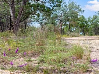 4180 W Farm To Market Road 243, Bertram, TX 78605