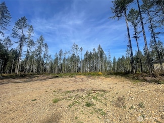 701 W Clear Lake Dr, Skokomish, WA 98584