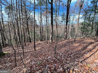 J-214 Walnut Mountain Rd, Ellijay, GA 30536