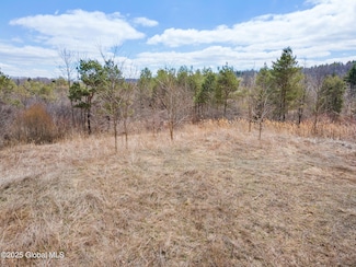 L2.114 Duanesburg Rd, Duanesburg, NY 12053