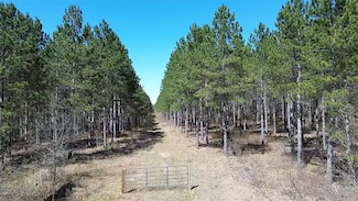 N/A Ellison Lake Rd, Barnes, WI 54876