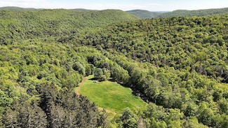 0 John Milk Rd, Hancock, NY 12760