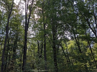 18010 Hickory St, Linesville, PA 16424