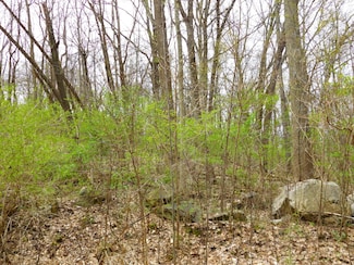 V/L Greyhawke Ridge, Niles, MI 49120
