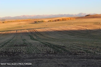 4133 Mountain Shadows Ln, Drummond, ID 83420