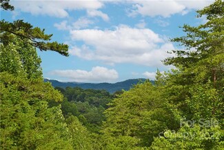 127 Saddle Ridge Dr, Alexander, NC 28701