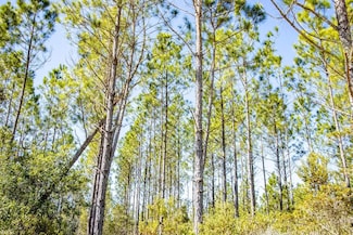 XX1 NE Duggar Rd, Hosford, FL 32334