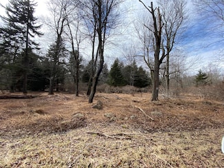 905 Wadi Rd W, Pocono Lake, PA 18347
