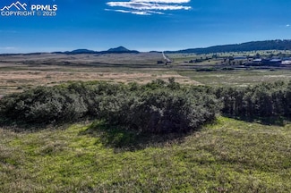 15989 S Perry Park Rd, Larkspur, CO 80118