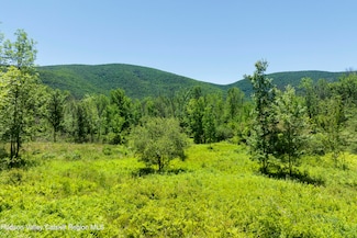 201 Cloos Rd, Jewett, NY 12424