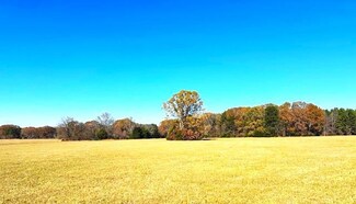 TBD County Road 212, Oxford, MS 38655