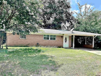 309 Willow St, Hughes Springs, TX 75656