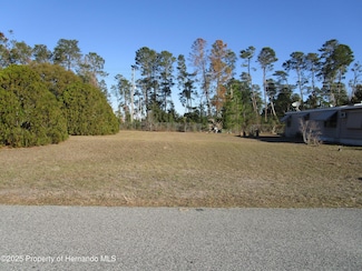 0 Scepter Ave, Brooksville, FL 34613