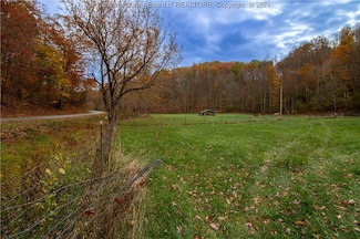 12075 Little 16 Mile Creek Rd, Southside, WV 25187