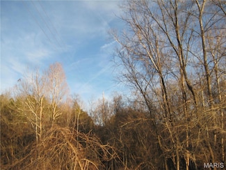 0 Bogy St Unit MAR24073426, de Soto, MO 63020