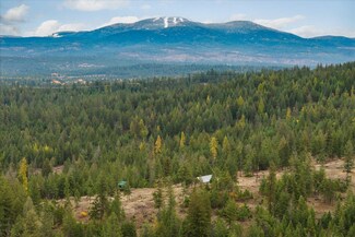 36022 N Milan Elk Rd, Chattaroy, WA 99003