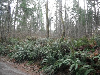 0 Slokwalm Ln SE, Rainier, WA 98576