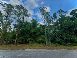 1012 Johns Ave, Lehigh Acres, FL 33972