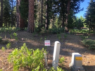 43 Panther Meadow Dr, McCloud, CA 96057