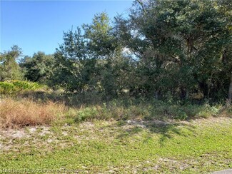 851 Larkspur St, Lake Placid, FL 33852
