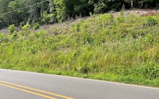 LOT 3 Fires Creek Rd, Hayesville, NC 28904