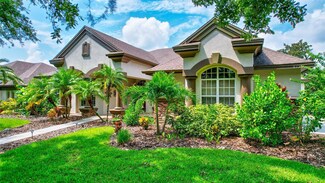 6133 Kestrelridge Dr, Lithia, FL 33547