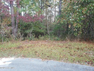 6 & 7 Brassie, Jackson Springs, NC 27281