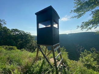 0 Fire Tower Rd Unit LotWP001 20562302, Tunkhannock, PA 18657