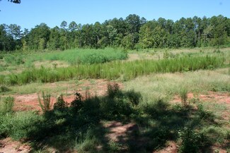 Lot C Dozier Rd, Appling, GA 30802